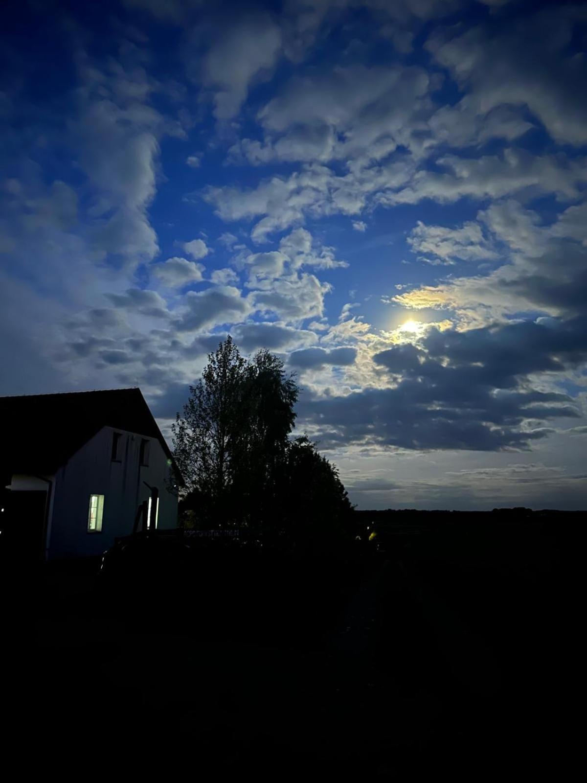 Mylin Villa Chrzypsko Wielkie Luaran gambar